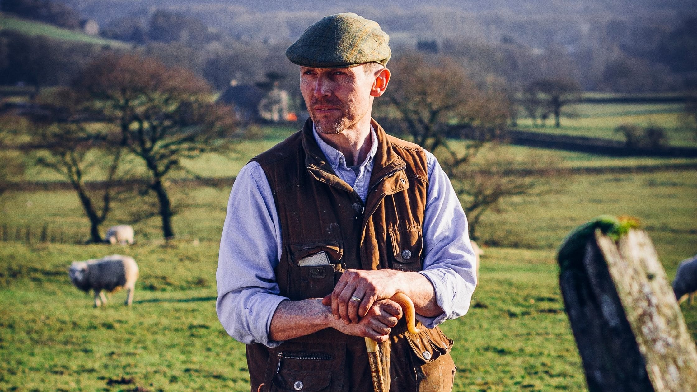Farmer stood in field with sheep
