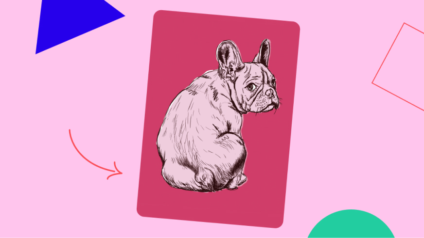 Pink Postcard I've Got Your Back