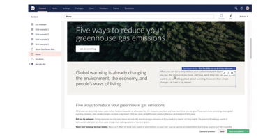 Umbraco 11 Content Options home