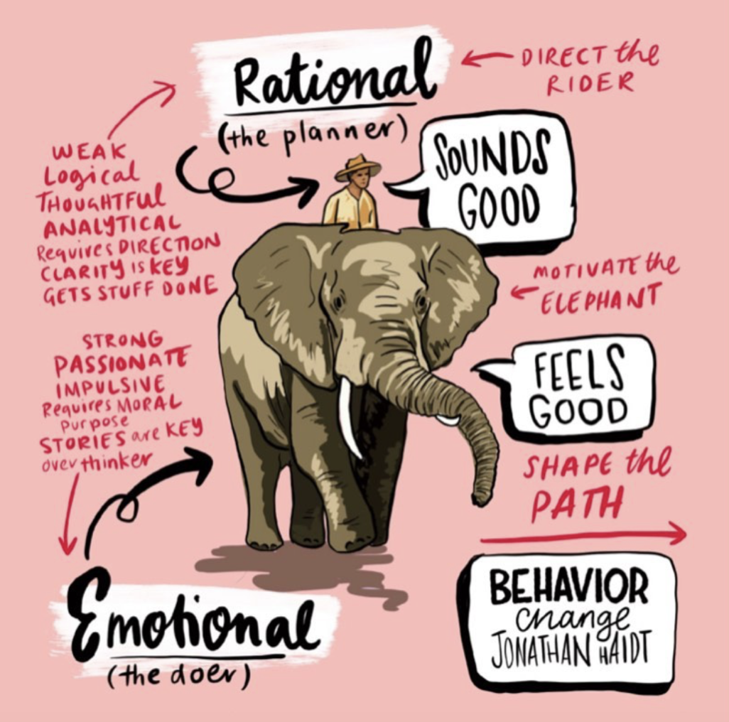 Elephant And Rider
