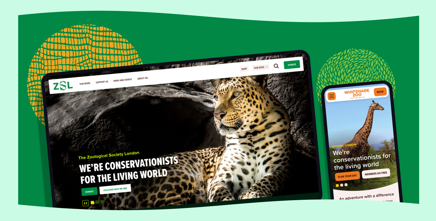 ZSL Growing Conversion By 30% 2