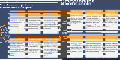 Community Insights Projects