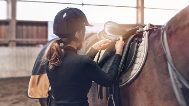 British Horse Society_Hero Image